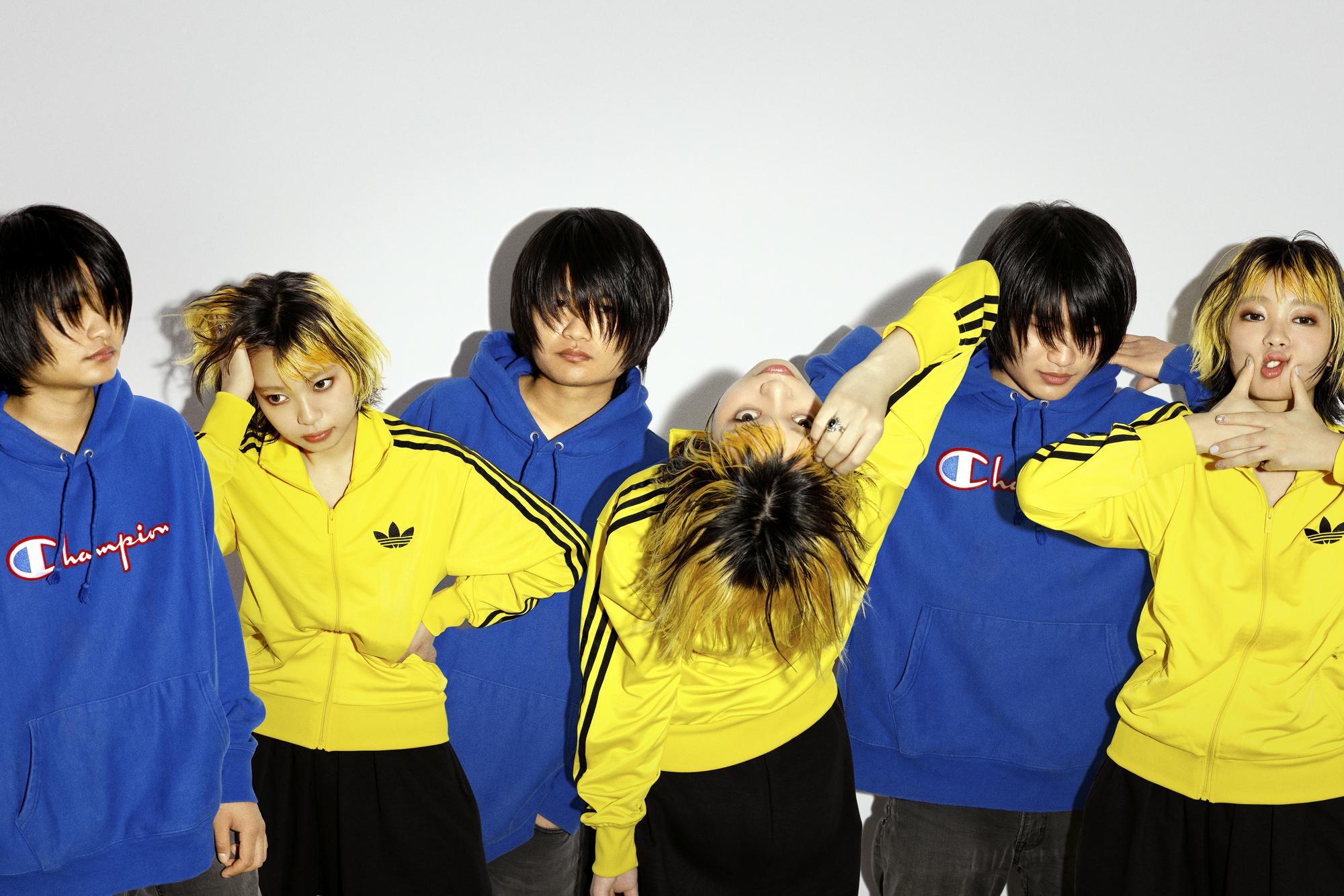 板歯目 OFFICIAL SITE