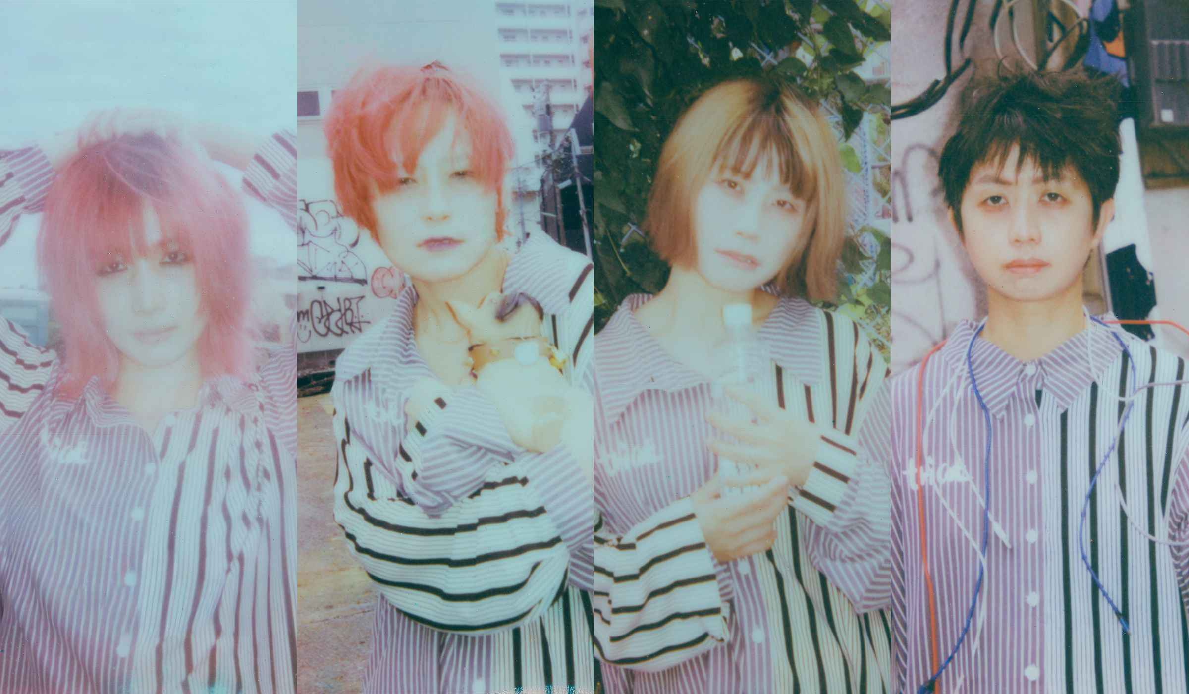 tricot Official Website & Membership「チョンマゲパンツパーティー」